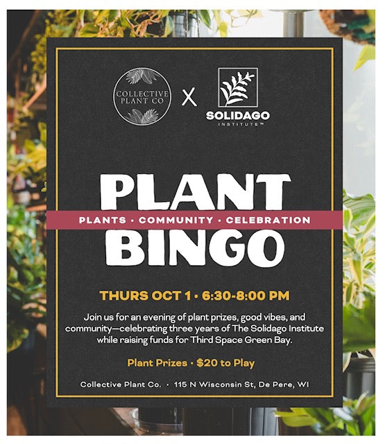 Plant Bingo - with The Solidago Institute