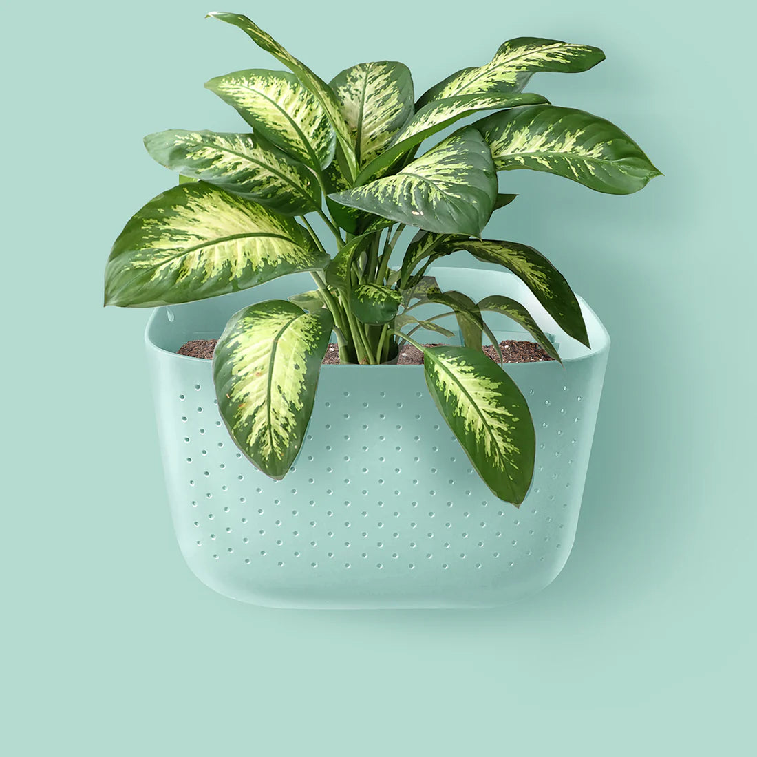 Eco Wall Planter