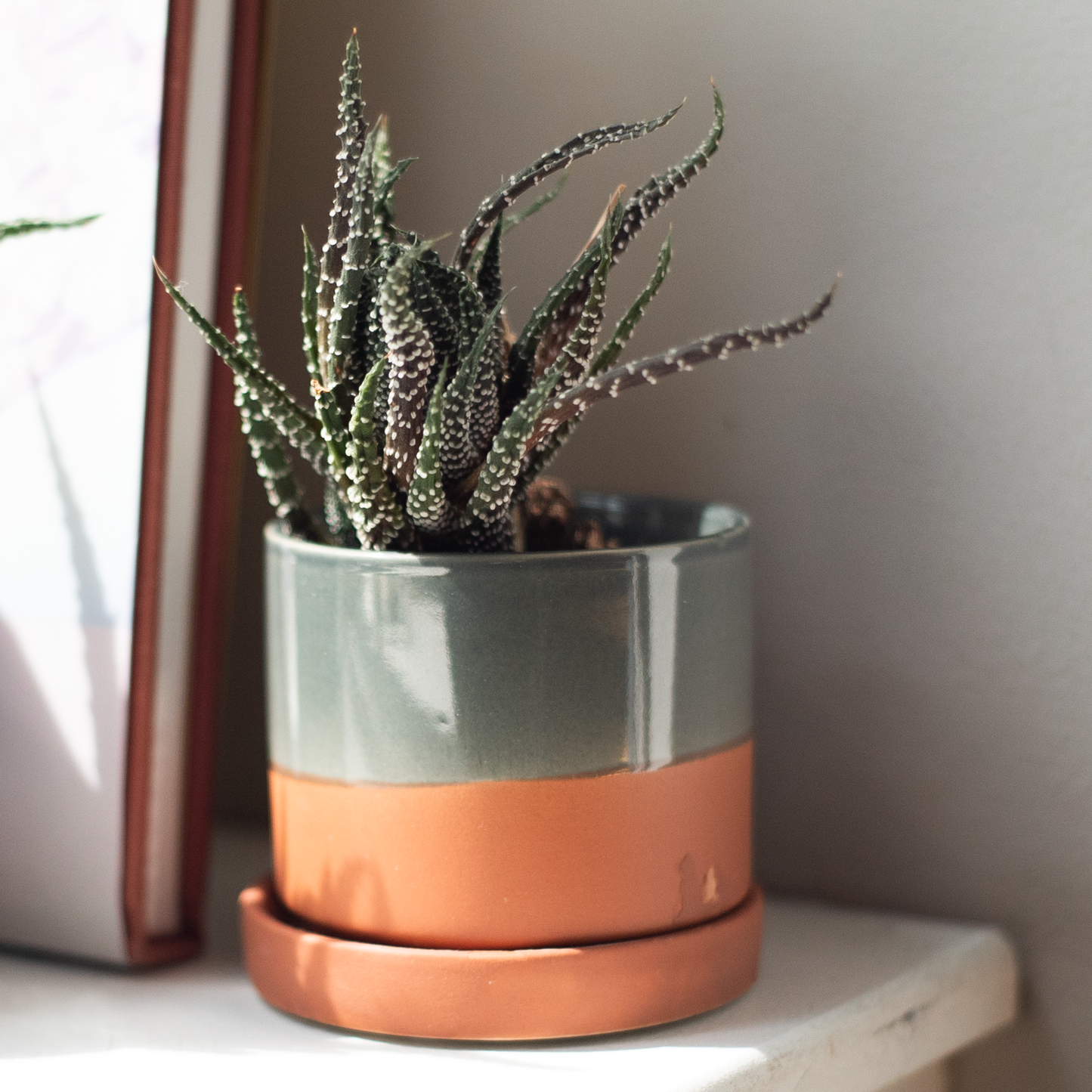 Minute Ceramic Planter