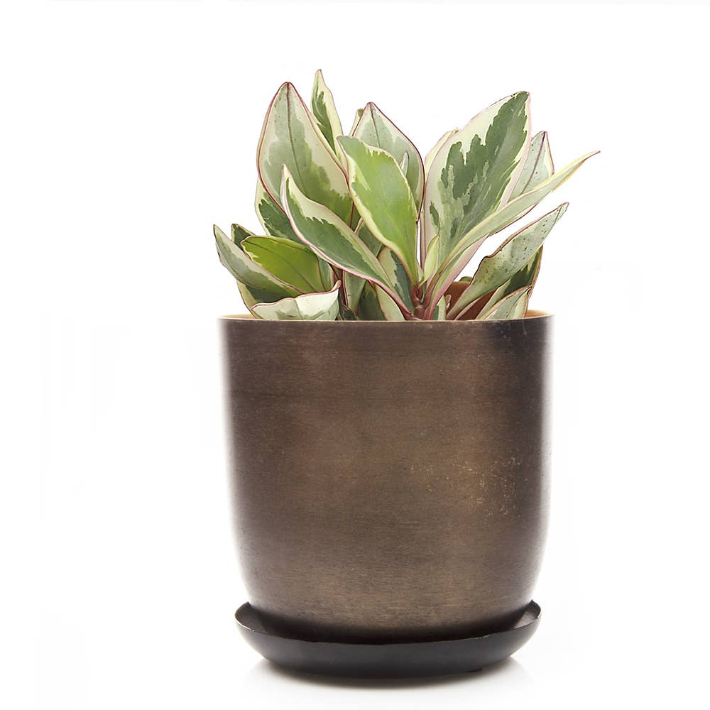 Metal Pot with Drainage Hole Saucer