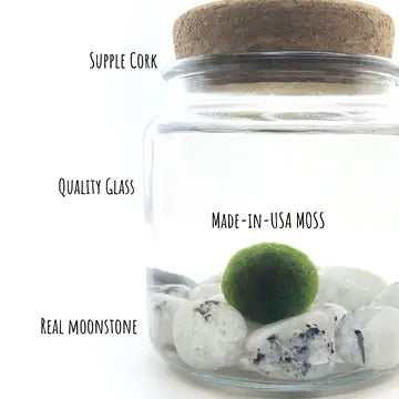 Large Moonstone Gemstones  Moss Ball Terrarium