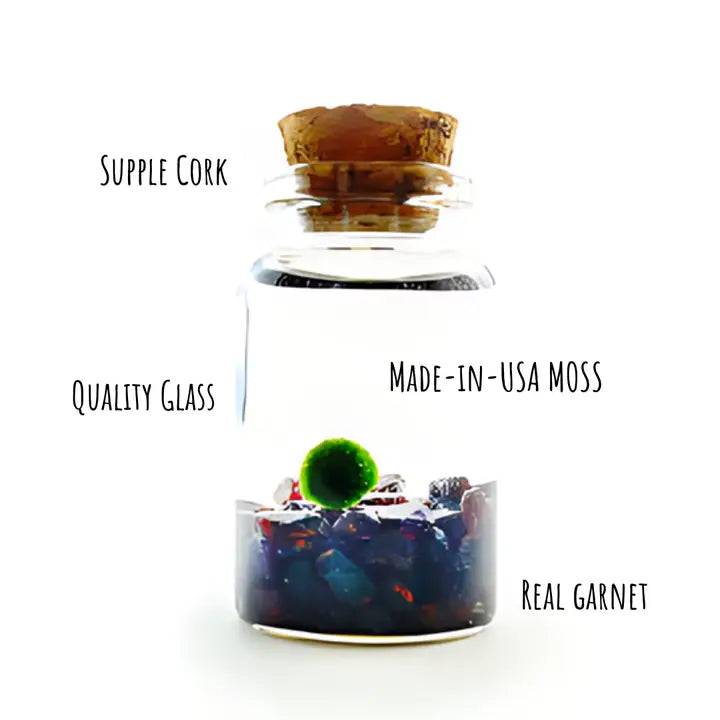 Tiny Garnet Gemstones Moss Ball Terrarium