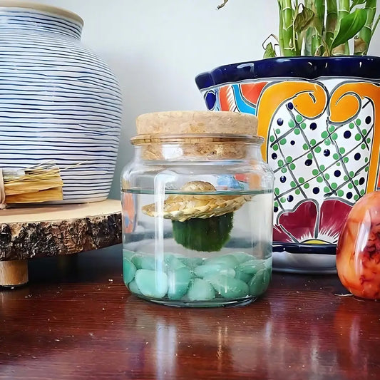 Large Aventurine Moss Ball Terrarium