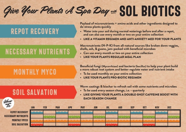Repot Recovery - Sol Biotics Repotting Shock Treatment