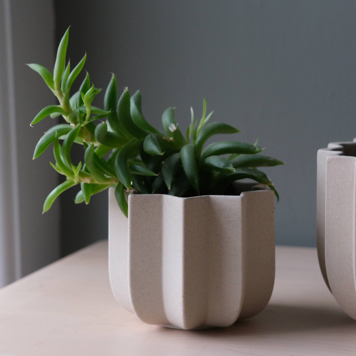 Wrap Ceramic Planter | Dune