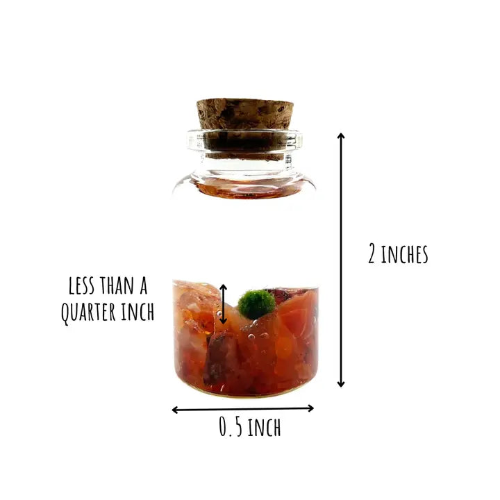Tiny Carnelian Gemstones  Moss Ball Terrarium