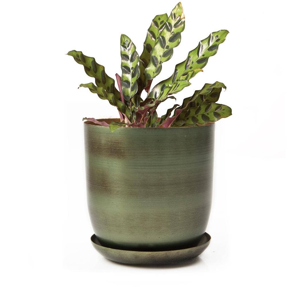 Metal Pot with Drainage Hole Saucer