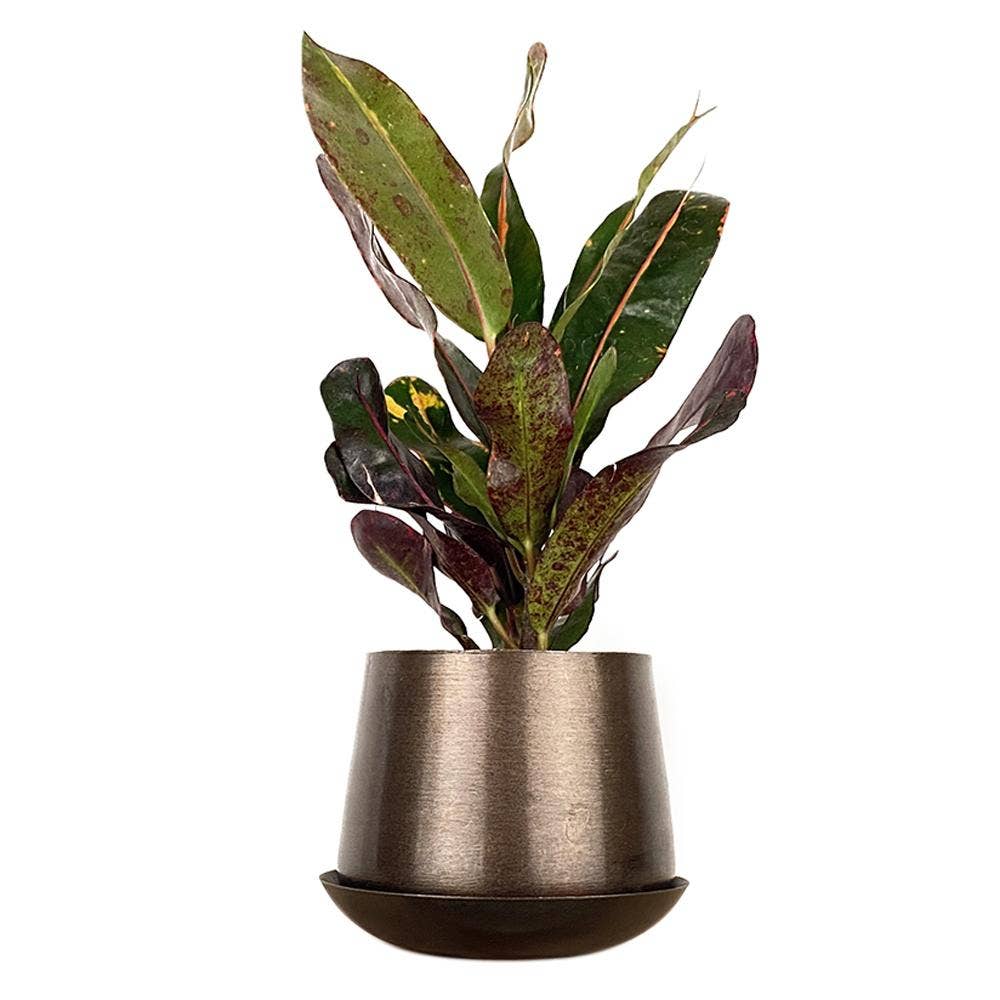 Metal Pot with Drainage Hole Saucer