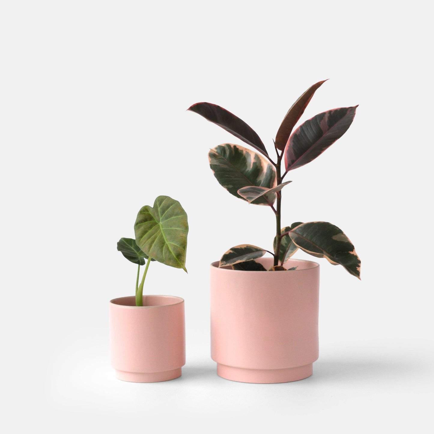 Kolo Planter