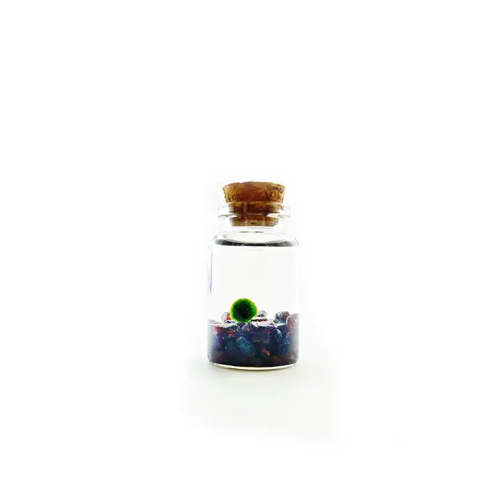 Tiny Garnet Gemstones Moss Ball Terrarium