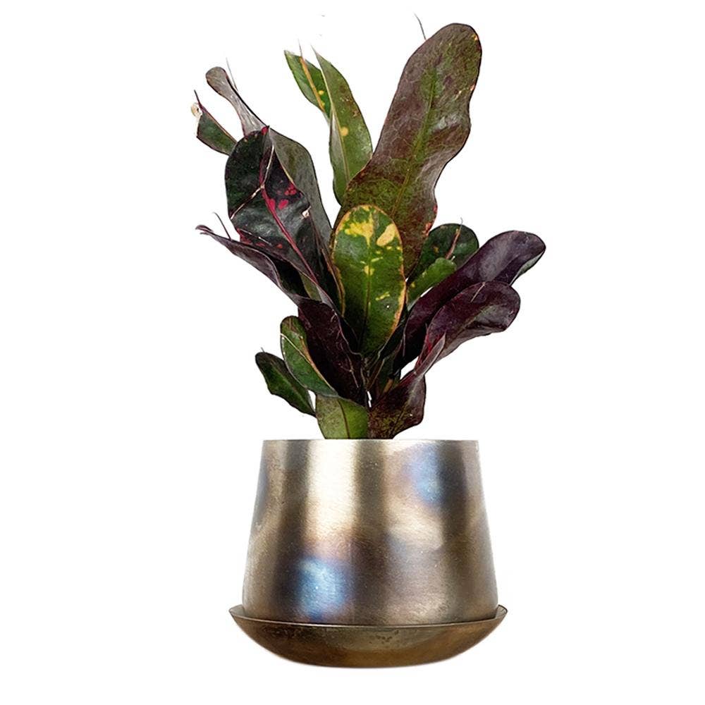 Metal Pot with Drainage Hole Saucer