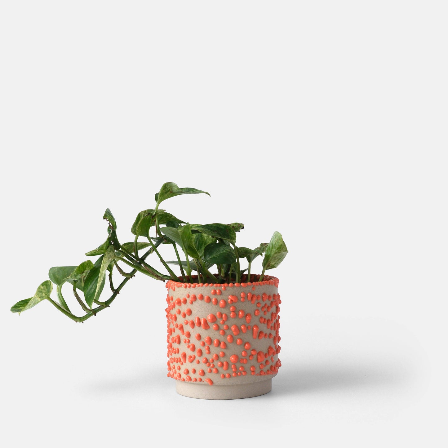 Kolo (Gloopy) Planter