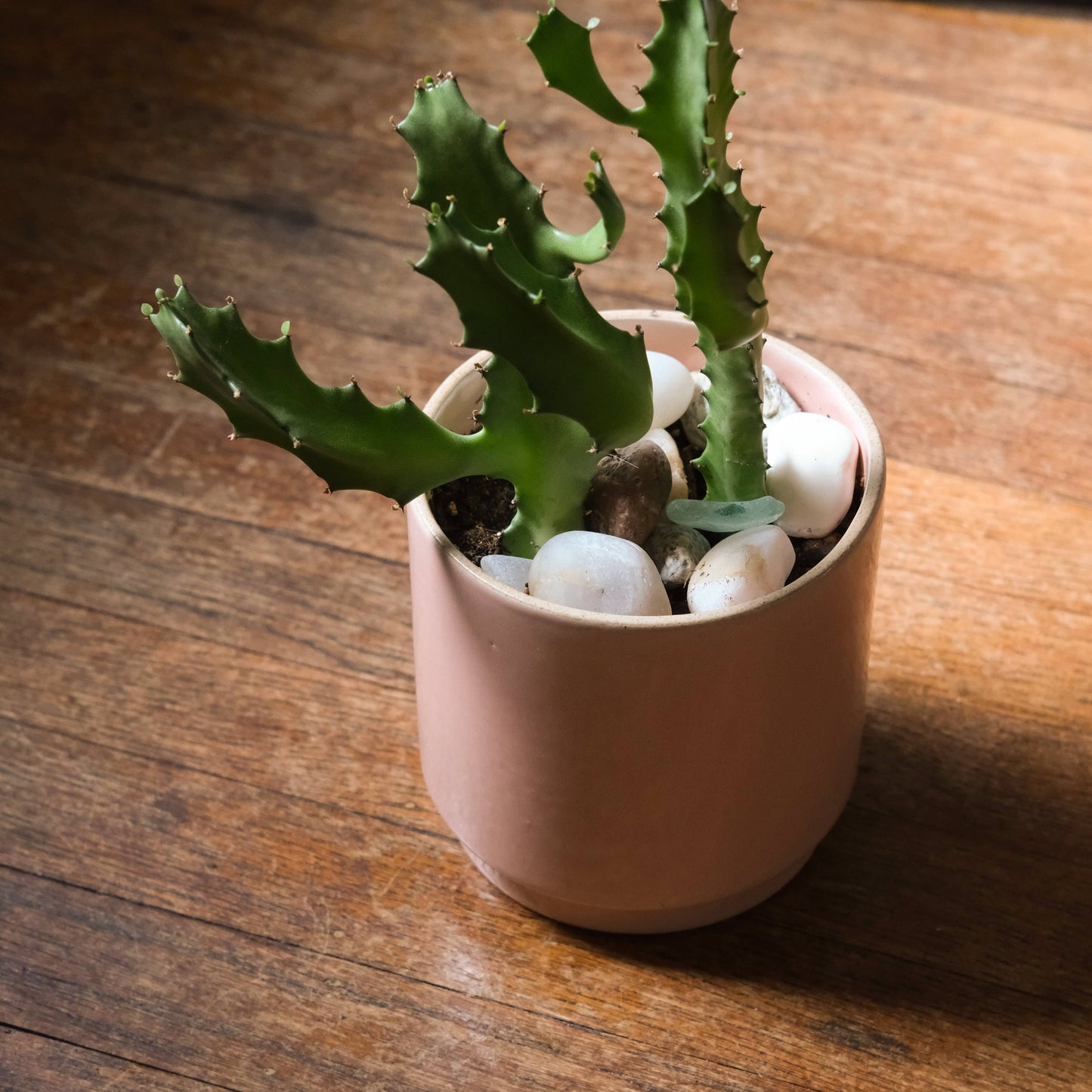 Kolo Planter