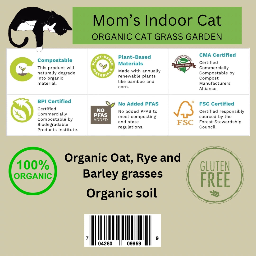 Compostable Cat Grass Bowl