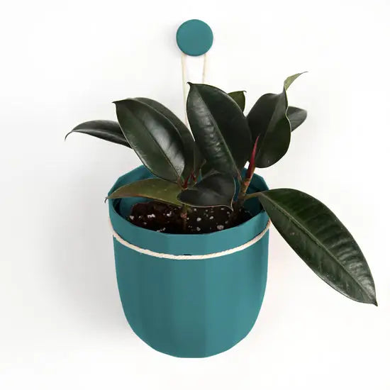Eco Wall Planter