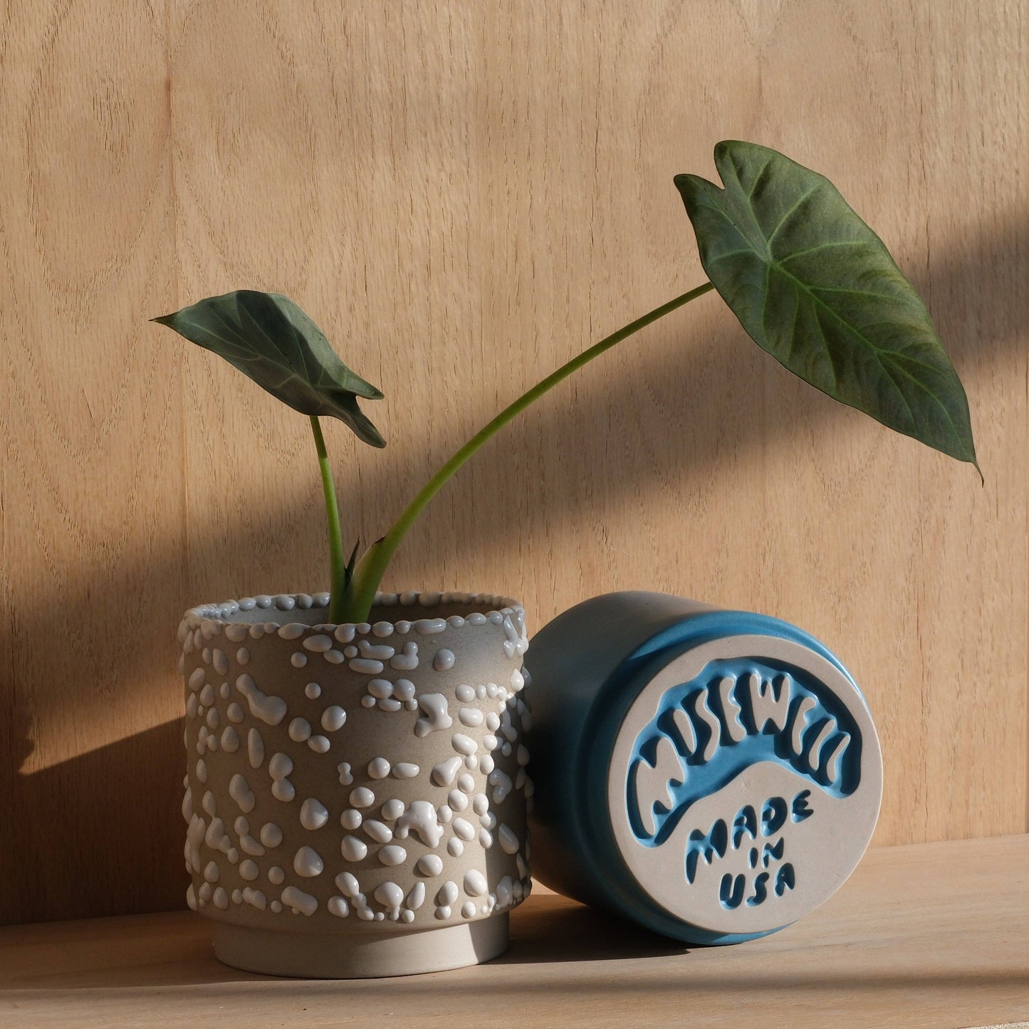 Kolo (Gloopy) Planter
