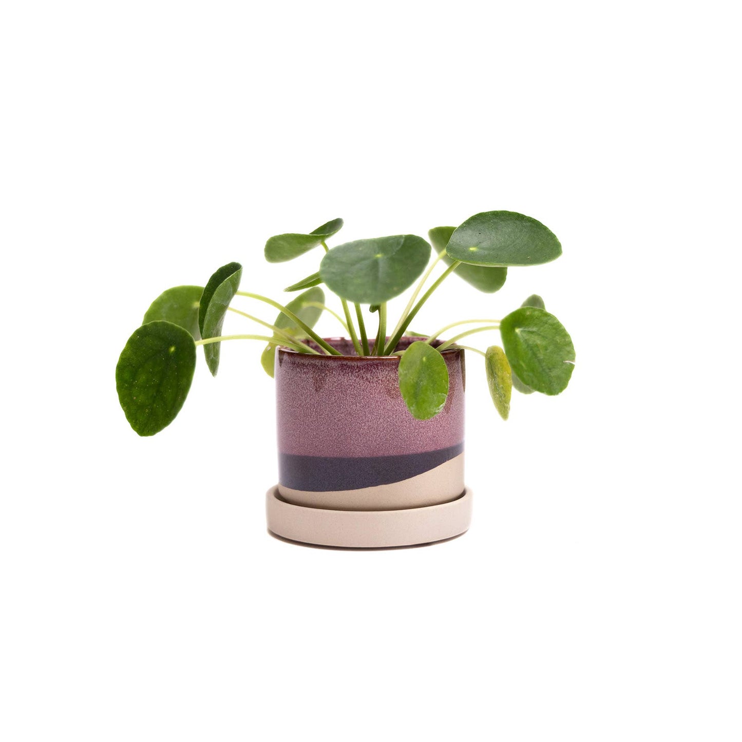 Burgundy Ceramic Pot