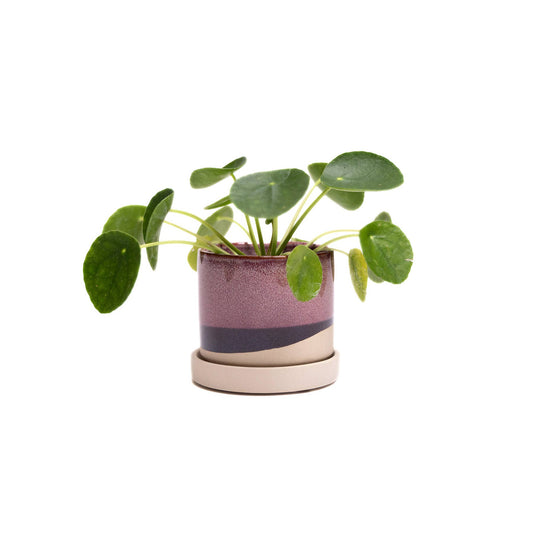 Burgundy Ceramic Pot
