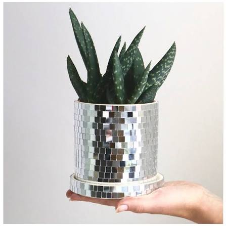 Disco Planter