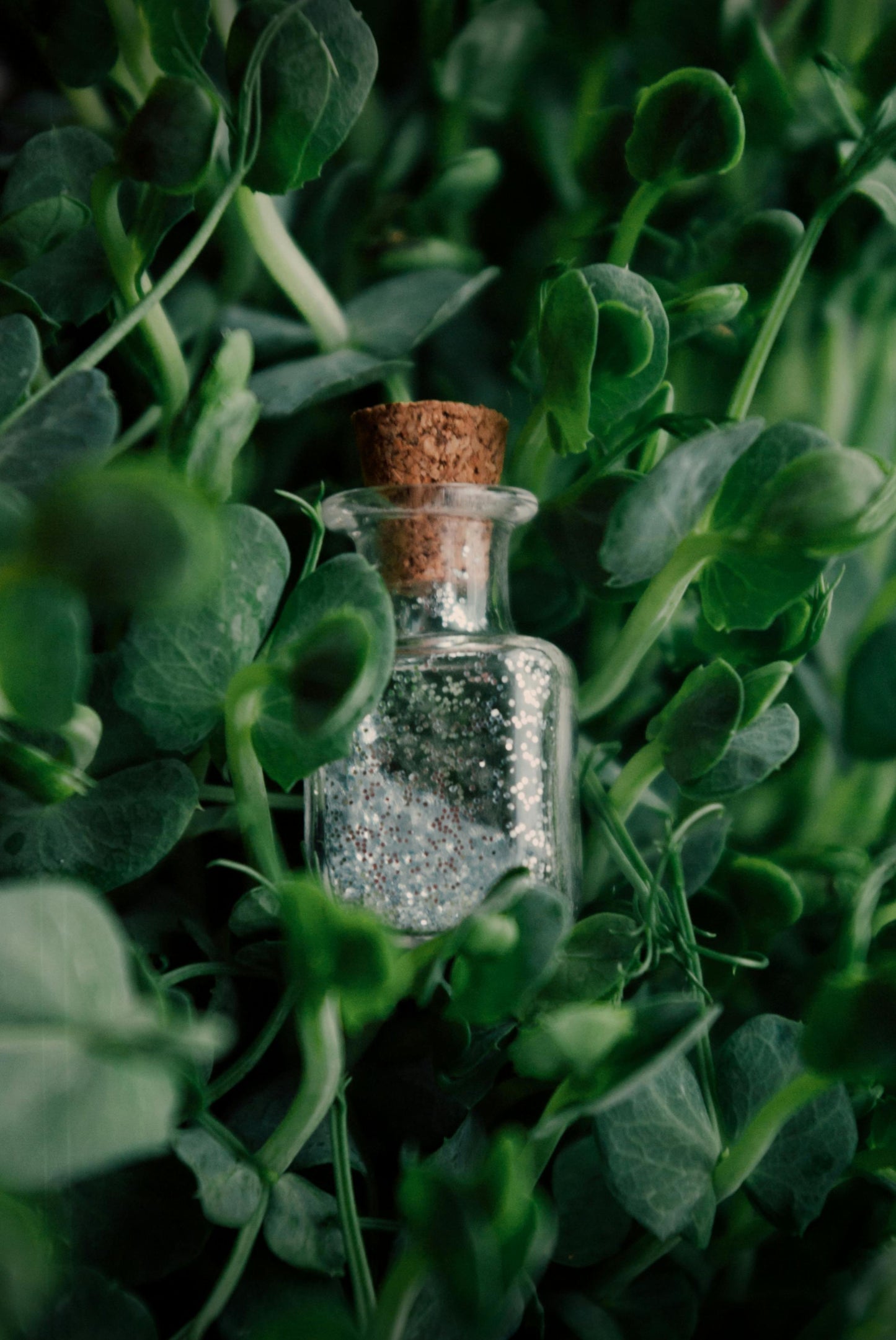 Leaf Potion